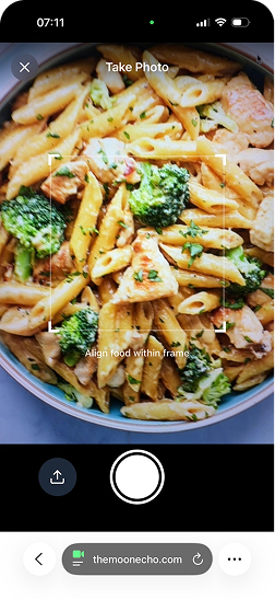 Food capture camera frame