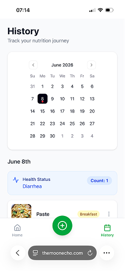 Meal and health history calendar